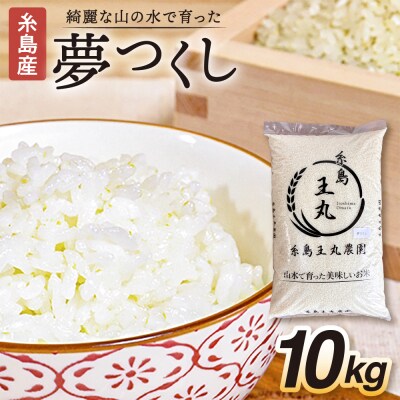 夢つくし 10kg 糸島王丸農園(谷口汰一)【いとしまごころ】[AAZ005]