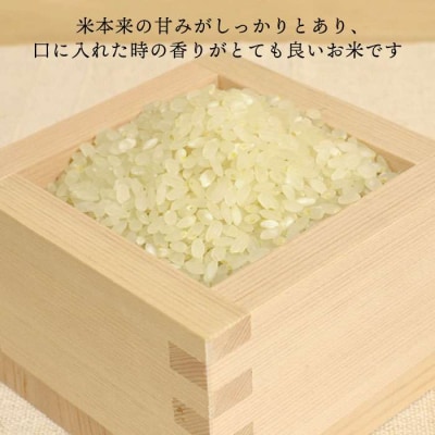 夢つくし 10kg 糸島王丸農園(谷口汰一)【いとしまごころ】[AAZ005]