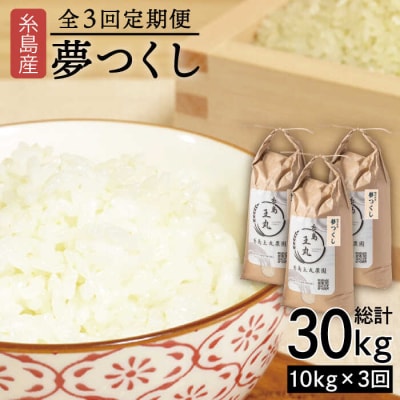 【全3回定期便】夢つくし10kg×3回 糸島王丸農園(谷口汰一)【いとしまごころ】[AAZ006]