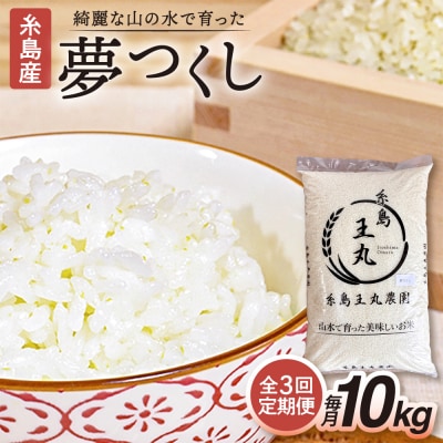 【全3回定期便】夢つくし10kg×3回 糸島王丸農園(谷口汰一)【いとしまごころ】[AAZ006]