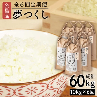 【全6回定期便】夢つくし10kg×6回 糸島王丸農園(谷口汰一)【いとしまごころ】[AAZ007]