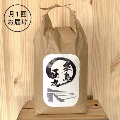 【全6回定期便】夢つくし10kg×6回 糸島王丸農園(谷口汰一)【いとしまごころ】[AAZ007]