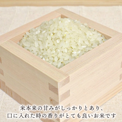 【全6回定期便】夢つくし10kg×6回 糸島王丸農園(谷口汰一)【いとしまごころ】[AAZ007]