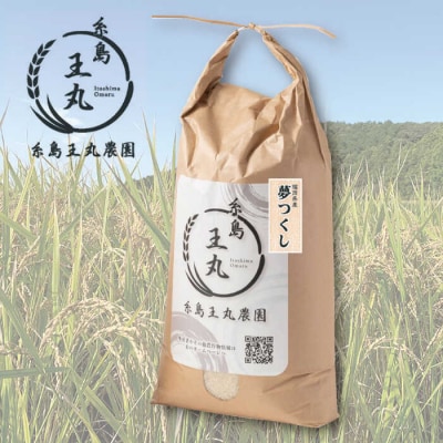 【全6回定期便】夢つくし10kg×6回 糸島王丸農園(谷口汰一)【いとしまごころ】[AAZ007]