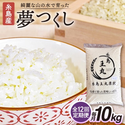 【全12回定期便】夢つくし10kg×12回糸島王丸農園(谷口汰一)【いとしまごころ】[AAZ008]