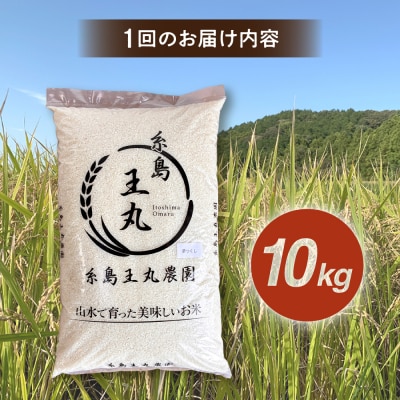 【全12回定期便】夢つくし10kg×12回糸島王丸農園(谷口汰一)【いとしまごころ】[AAZ008]