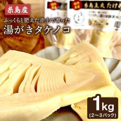 湯がきタケノコ1kg糸島王丸農園(谷口汰一)【いとしまごころ】[AAZ009]