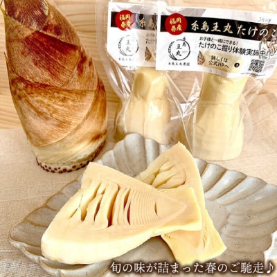 湯がきタケノコ1kg糸島王丸農園(谷口汰一)【いとしまごころ】[AAZ009]