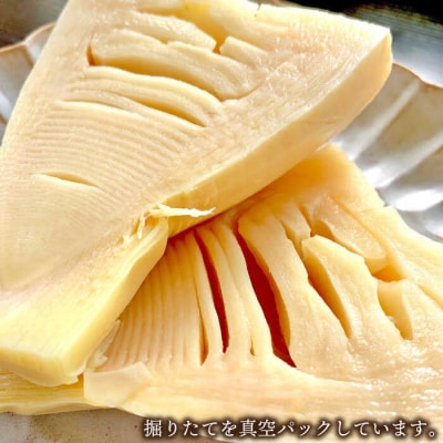 湯がきタケノコ1kg糸島王丸農園(谷口汰一)【いとしまごころ】[AAZ009]