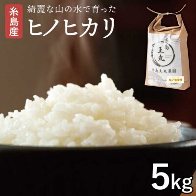 糸島産 ヒノヒカリ 5kg 糸島王丸農園(谷口汰一)【いとしまごころ】[AAZ010]
