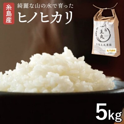  ヒノヒカリ 5kg 糸島王丸農園(谷口汰一)【いとしまごころ】[AAZ010]