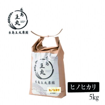  ヒノヒカリ 5kg 糸島王丸農園(谷口汰一)【いとしまごころ】[AAZ010]
