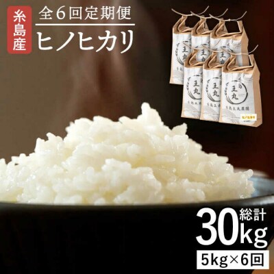 【全6回定期便】ヒノヒカリ 5kg×6回 糸島王丸農園(谷口汰一)【いとしまごころ】[AAZ012]