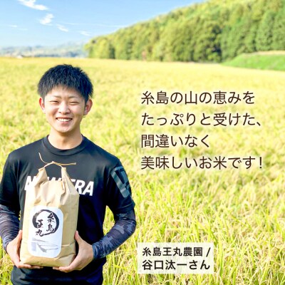 【全6回定期便】ヒノヒカリ 5kg×6回 糸島王丸農園(谷口汰一)【いとしまごころ】[AAZ012]