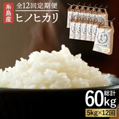【全12回定期便】ヒノヒカリ5kg×12回糸島王丸農園(谷口汰一)【いとしまごころ】[AAZ013]