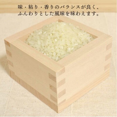 【全12回定期便】ヒノヒカリ5kg×12回糸島王丸農園(谷口汰一)【いとしまごころ】[AAZ013]