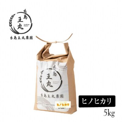 【全12回定期便】ヒノヒカリ5kg×12回糸島王丸農園(谷口汰一)【いとしまごころ】[AAZ013]