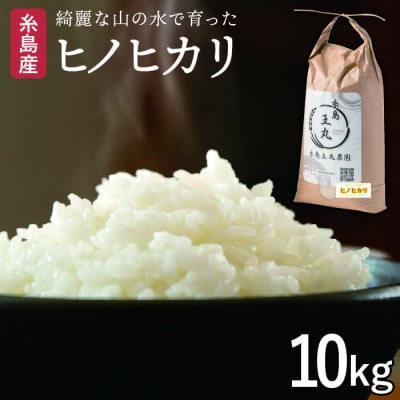 ヒノヒカリ 10kg  糸島王丸農園(谷口汰一)【いとしまごころ】[AAZ014]