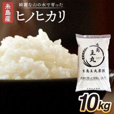 ヒノヒカリ 10kg  糸島王丸農園(谷口汰一)【いとしまごころ】[AAZ014]