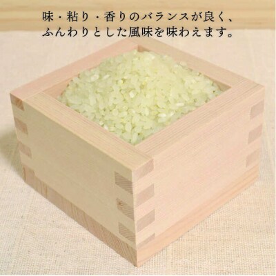 ヒノヒカリ 10kg  糸島王丸農園(谷口汰一)【いとしまごころ】[AAZ014]