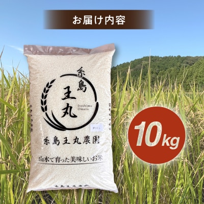 ヒノヒカリ 10kg  糸島王丸農園(谷口汰一)【いとしまごころ】[AAZ014]