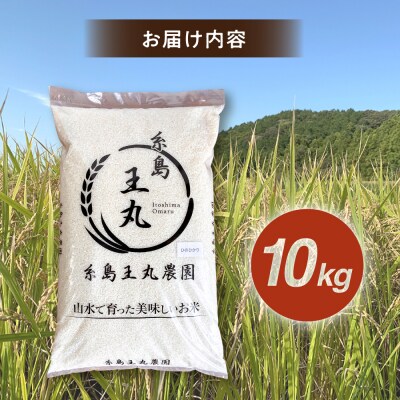 ヒノヒカリ 10kg  糸島王丸農園(谷口汰一)【いとしまごころ】[AAZ014]