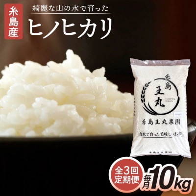 【全3回定期便】ヒノヒカリ10kg×3回 糸島王丸農園(谷口汰一)【いとしまごころ】[AAZ015]