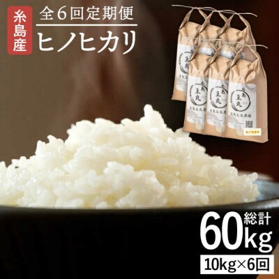 【全6回定期便】ヒノヒカリ10kg×6回 糸島王丸農園(谷口汰一)【いとしまごころ】[AAZ016]