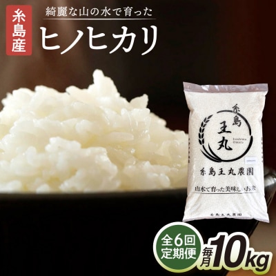 【全6回定期便】ヒノヒカリ10kg×6回 糸島王丸農園(谷口汰一)【いとしまごころ】[AAZ016]