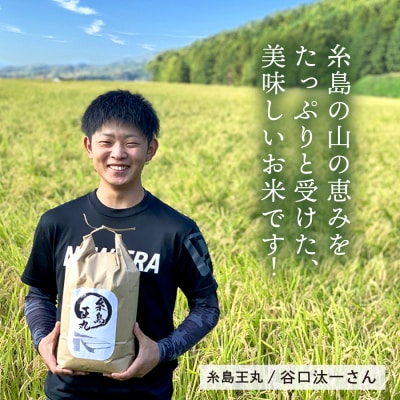 【全6回定期便】ヒノヒカリ10kg×6回 糸島王丸農園(谷口汰一)【いとしまごころ】[AAZ016]