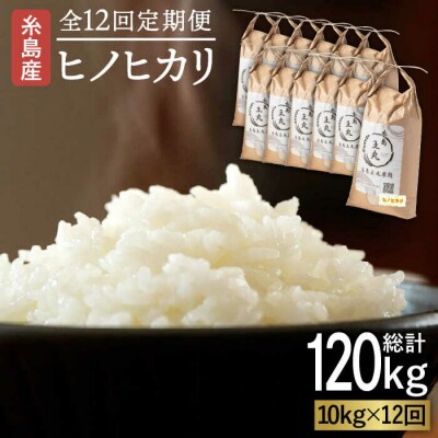 【全12回定期便】ヒノヒカリ10kg×12回 糸島王丸農園【いとしまごころ】[AAZ017]