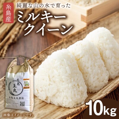 ミルキークイーン 10kg 糸島王丸農園(谷口汰一)【いとしまごころ】[AAZ018]