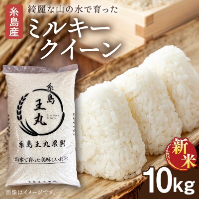 ミルキークイーン 10kg 糸島王丸農園(谷口汰一)【いとしまごころ】[AAZ018]