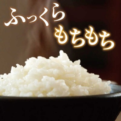 ミルキークイーン 10kg 糸島王丸農園(谷口汰一)【いとしまごころ】[AAZ018]