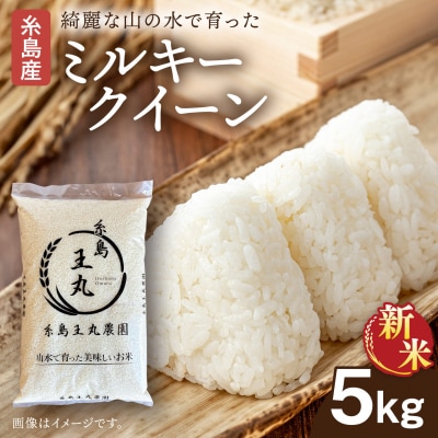 ミルキークイーン 5kg 糸島王丸農園(谷口汰一)【いとしまごころ】[AAZ019]