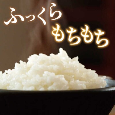 ミルキークイーン 5kg 糸島王丸農園(谷口汰一)【いとしまごころ】[AAZ019]