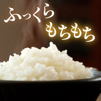 ミルキークイーン 5kg 糸島王丸農園(谷口汰一)【いとしまごころ】[AAZ019]