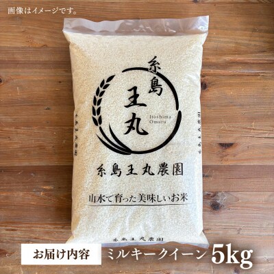 ミルキークイーン 5kg 糸島王丸農園(谷口汰一)【いとしまごころ】[AAZ019]