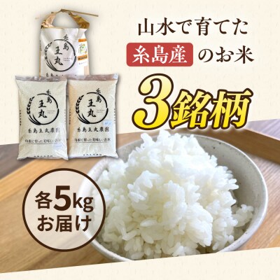 糸島産米 食べ比べ3種セット 5kg×3 糸島王丸農園(谷口汰一)【いとしまごころ】[AAZ020]
