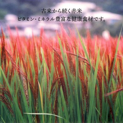 全5回定期便 (月1回) 雑穀米 健康 ごはんのお米セット 二丈赤米産直センター[ABB020]