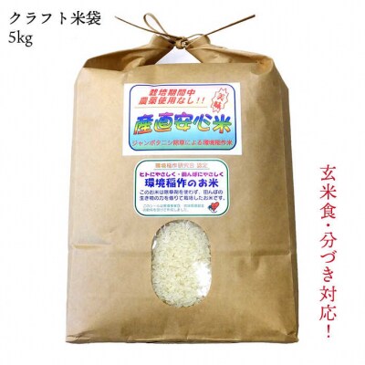 【年内発送】農薬使わない栽培!糸島産 夢つくし 5kg 玄米 分搗き 対応《糸島》[ABB025]