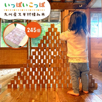 いっぱいこっぱ(大) 積み木 《糸島》【産の森学舎】 [ABC003]
