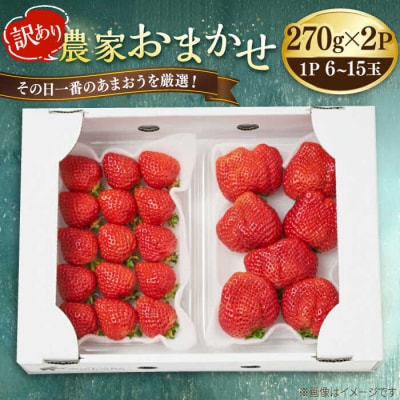 【農家直送!】 農家おまかせ訳あり 270g×2パック 糸島市 / みのりのりん [ABD004]