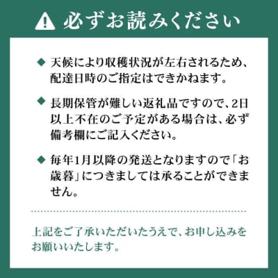 【農家直送!】 農家おまかせ訳あり 270g×2パック 糸島市 / みのりのりん [ABD004]
