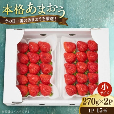 【農家直送!】 あまおう 小サイズ 270g×2パック 糸島市 / みのりのりん [ABD005]