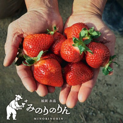 【農家直送!】 あまおう 小サイズ 270g×2パック 糸島市 / みのりのりん [ABD005]