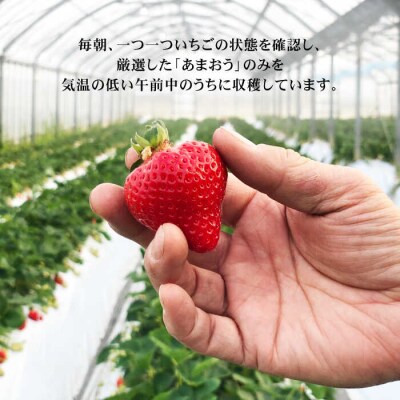 【農家直送!】 あまおう 小サイズ 270g×2パック 糸島市 / みのりのりん [ABD005]