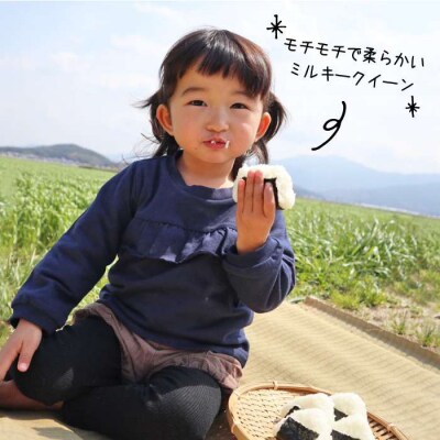  【 栽培期間中農薬不使用 】米旋風 ミルキークイーン 5kg 糸島[ABF001]