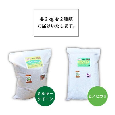 【栽培期間中農薬不使用】米旋風 玄米 2kg×2種  食べ比べセット[ABF012]