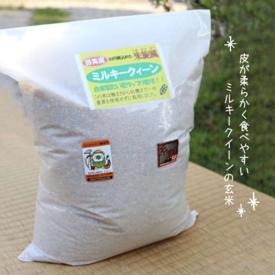 【栽培期間中農薬不使用】米旋風 玄米 2kg×2種  食べ比べセット[ABF012]